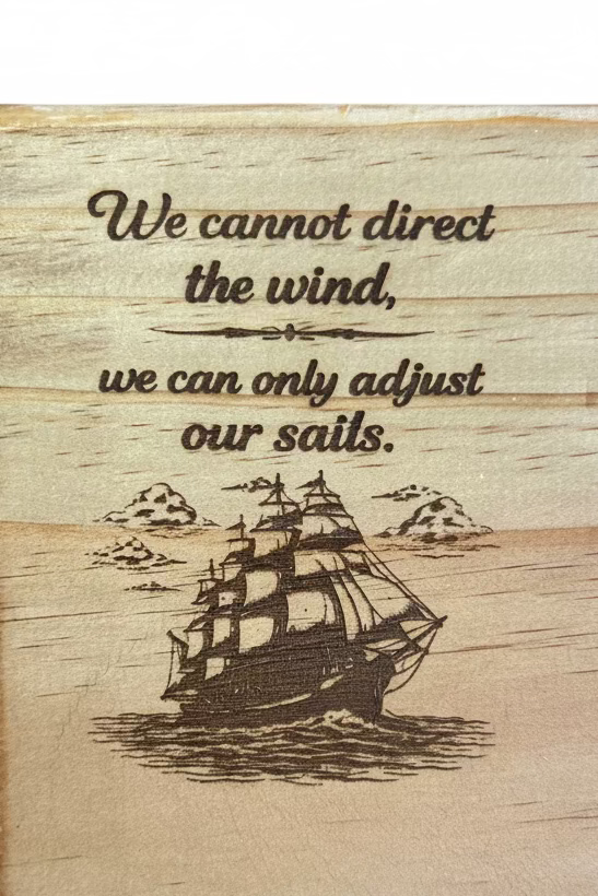 WE CAN ONLY ADJUST OUR SAILS